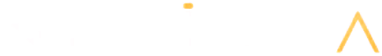 NetIdea